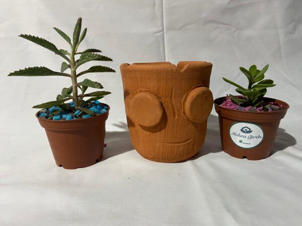 Groot Macetero
